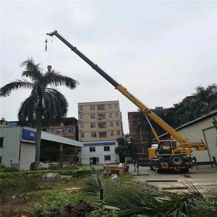 上林吊车吊大树几种方法